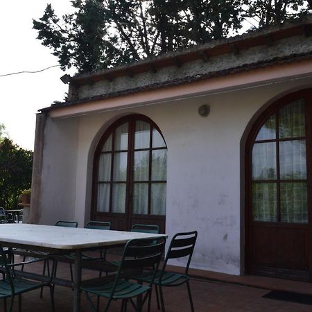 Agriturismo La Fidanza San Gimignano Exteriér fotografie